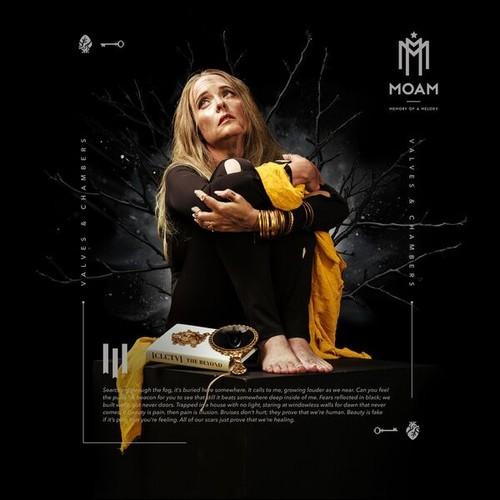 Memory of a Melody - VALVES & CHAMBERS (2025)