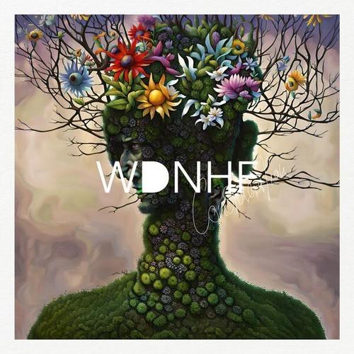 WDNHF - Consideration (2025)
