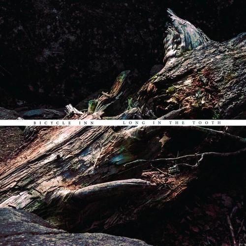 Bicycle Inn - Long in the Tooth (2025)