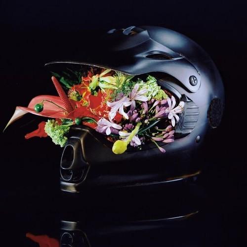 Lavisher - Aligned & Vital (2025)