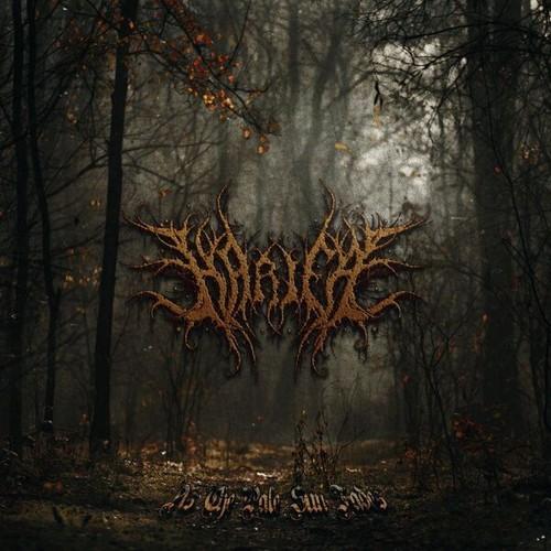 Harifa - As The Pale Sun Fades (2025)