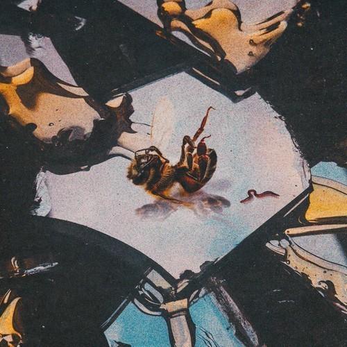 Stain the Canvas - Honey Rot (2025) 320|FLAC