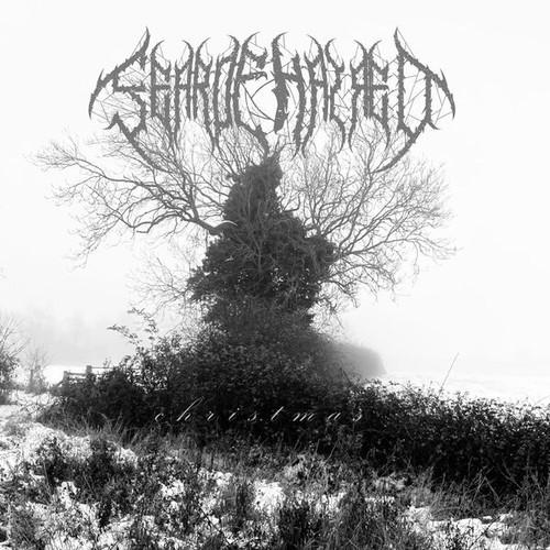 Fearofhatred - Christmas (2025)