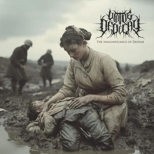 Virtue of Decay - The Insignificance of Dispair (2026)